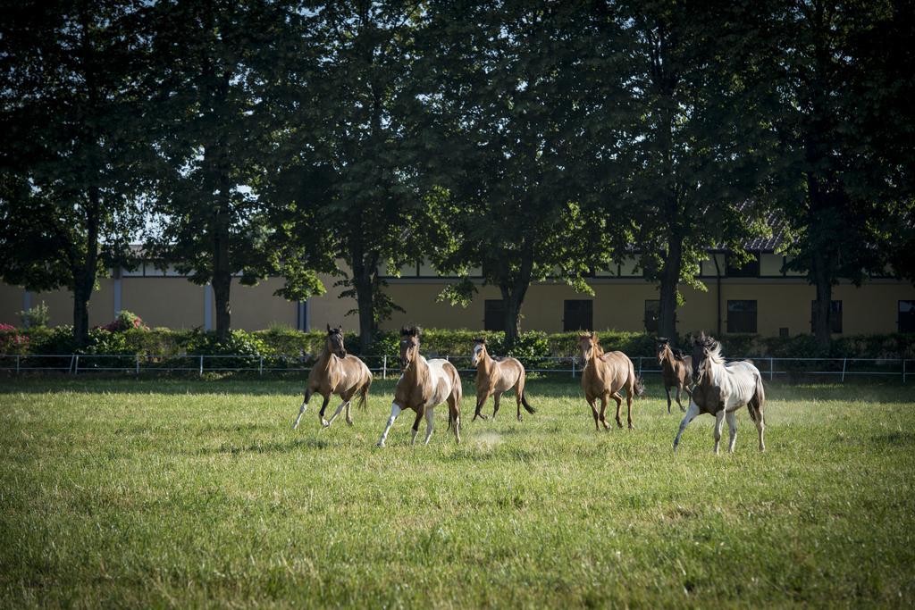 Agriturismo Tenuta "Il Cigno" Villanterio Bagian luar foto