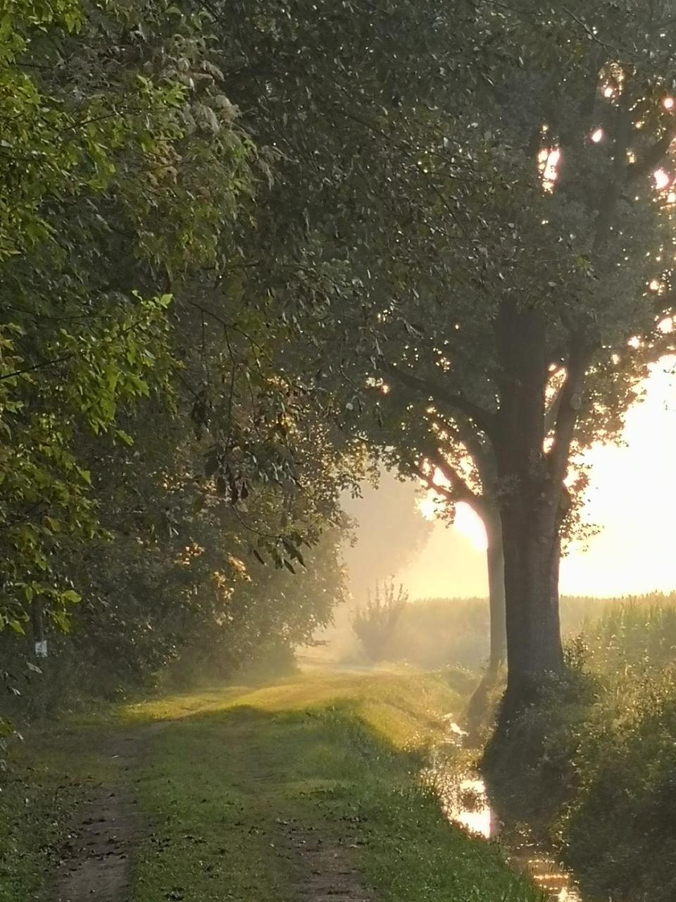 Agriturismo Tenuta "Il Cigno" Villanterio Bagian luar foto