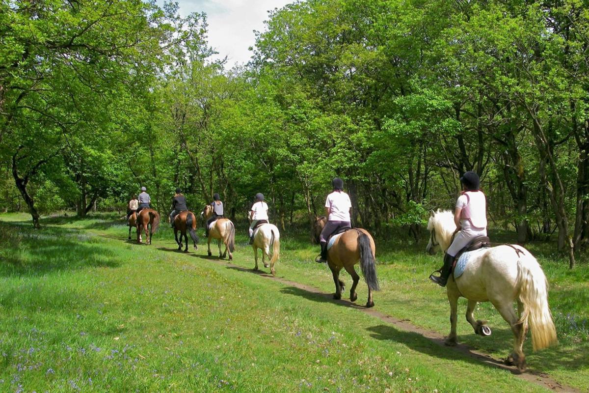 Agriturismo Tenuta "Il Cigno" Villanterio Bagian luar foto