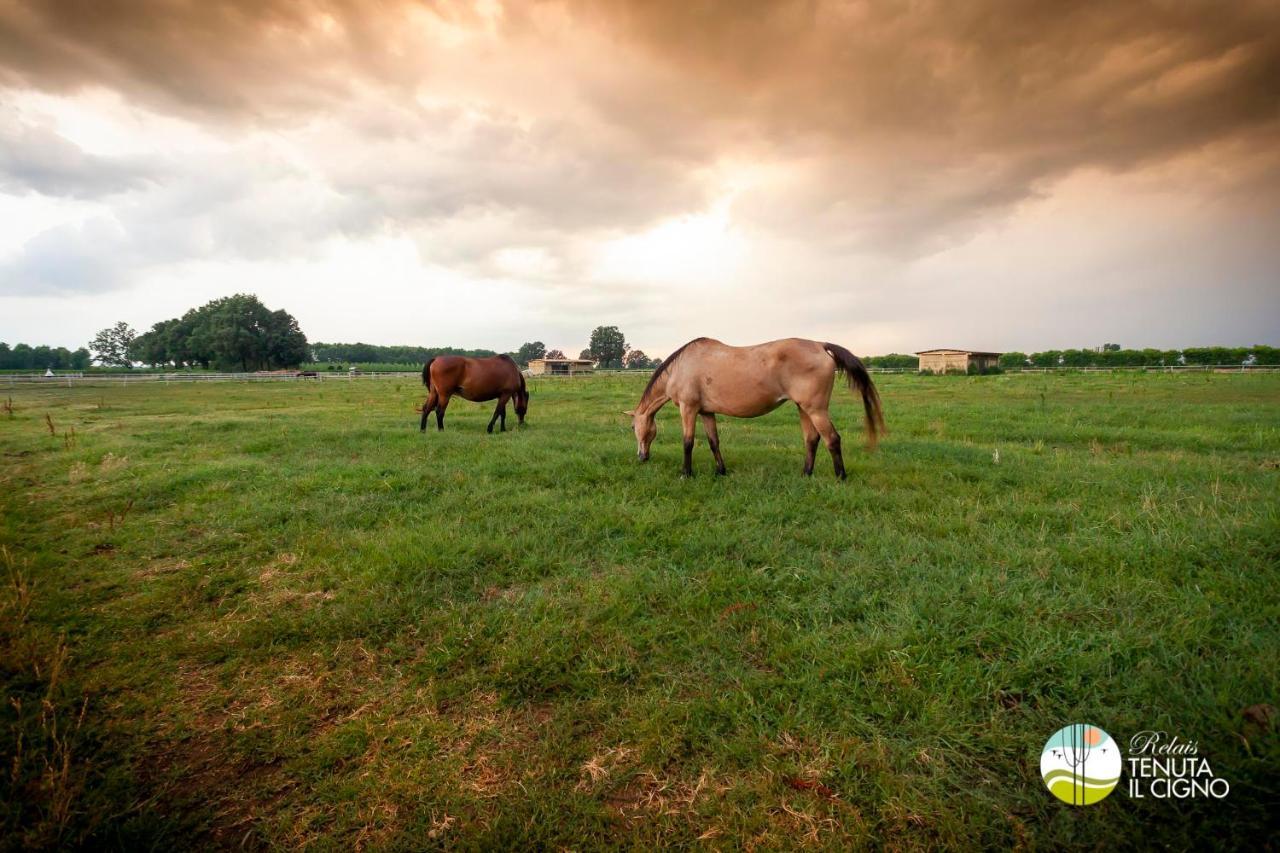 Agriturismo Tenuta "Il Cigno" Villanterio Bagian luar foto