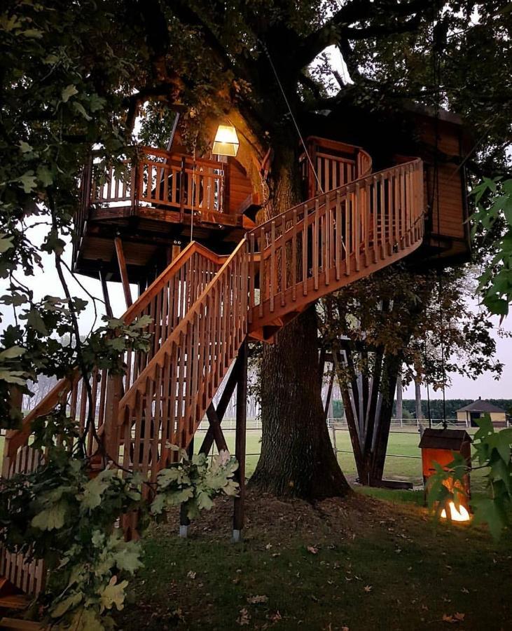Agriturismo Tenuta "Il Cigno" Villanterio Bagian luar foto