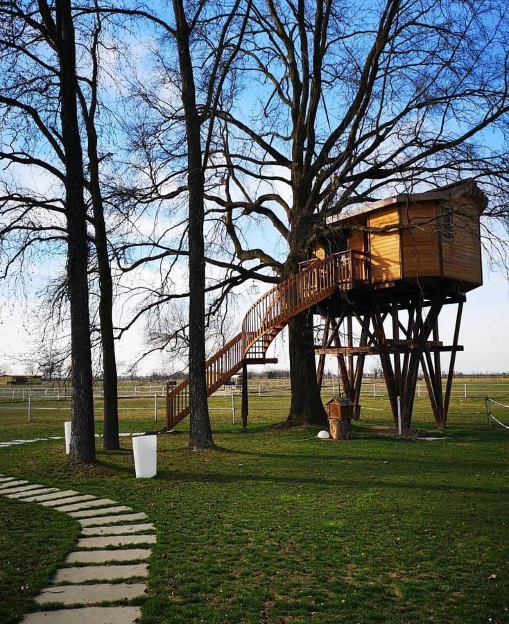 Agriturismo Tenuta "Il Cigno" Villanterio Bagian luar foto